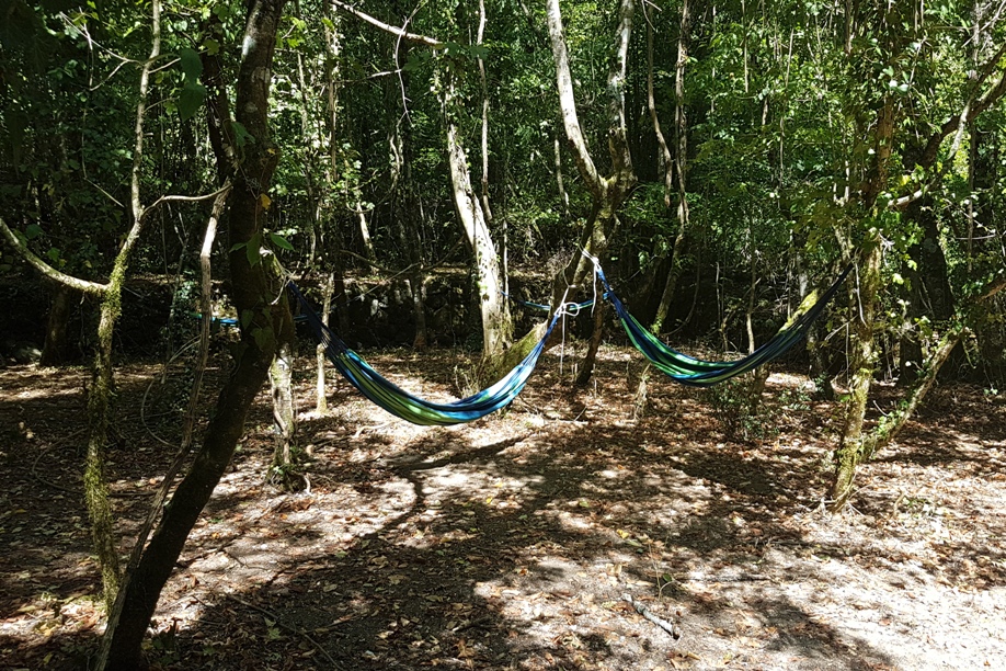 hangmatten bos camping RioRequesa
